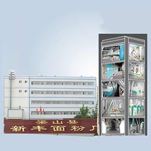 200噸大型面粉機成套加工設(shè)備