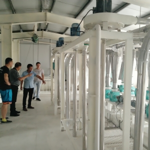 60噸面粉機客戶考察現(xiàn)場