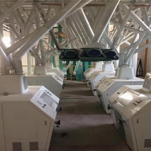 120噸大型面粉機